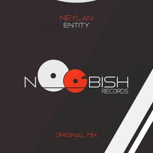 Entity (Single)