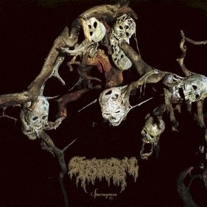 Sinew Censer (Single)