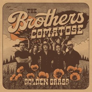 Golden Grass