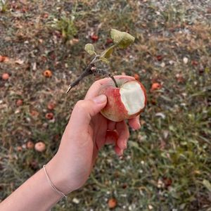 Ты любил (Single)