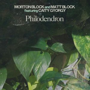 Philodendron (Single)