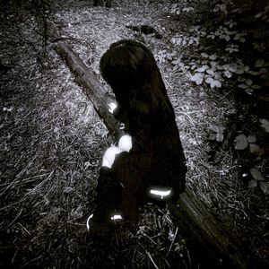 сamellia (Single)