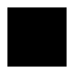 BCF SPECIAL (Single)