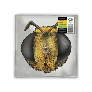 Big Fig Wasp