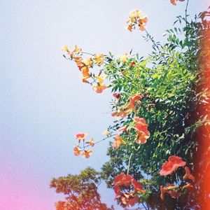Coelum (Single)