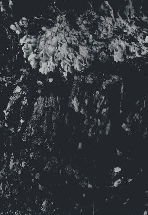 End Beginning End (Single)