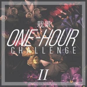One-Hour Challenge II