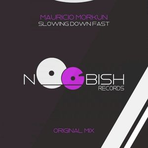 Slowing Down Fast (Single)