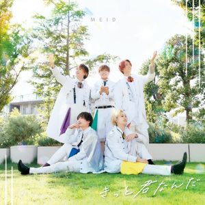 きっと君なんだ (Single)