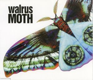 MOTH