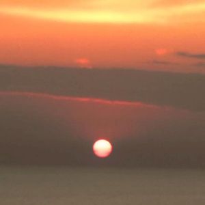 dettagli (Single)