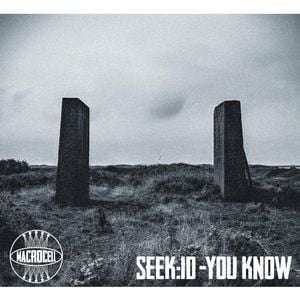 You Know (Single)