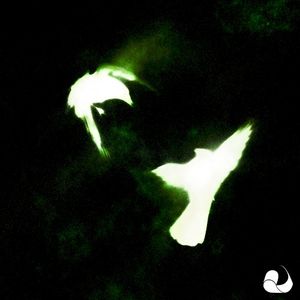 Lie to Me (Single)