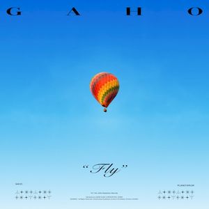 Fly