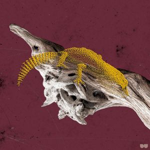Pumice (EP)