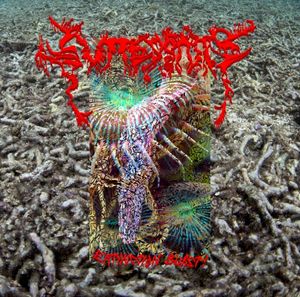 Extinction Burst!
