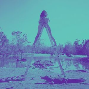 Collections (Single)