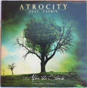 After the Storm (Single)