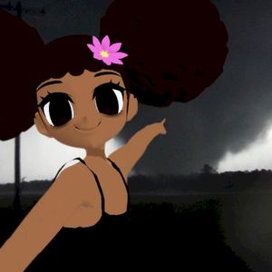 2011 Tornado Warning (Single)