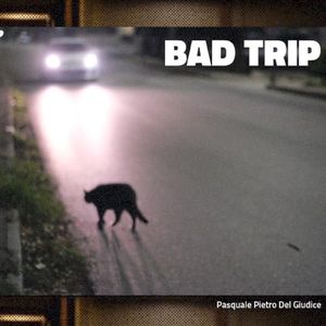 Bad Trip