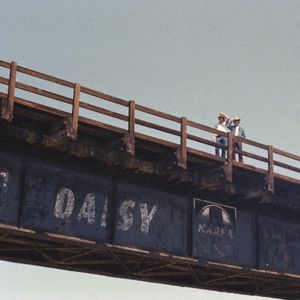 Daisy (Single)