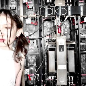 Fake (Single)