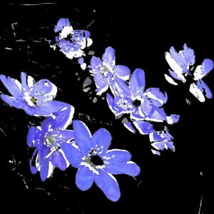 last chance (Single)