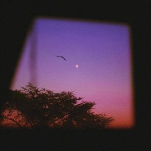 Nebula (Single)