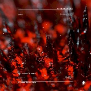 Evoked Potentials (EP)