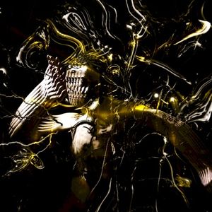 the transfer (Single)