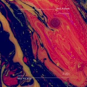 What You Need (EP)