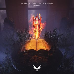 Burned (Single)