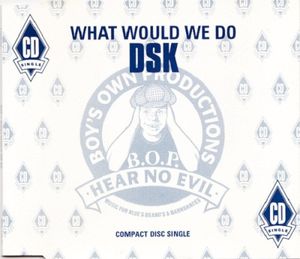 What Would We Do (Single)