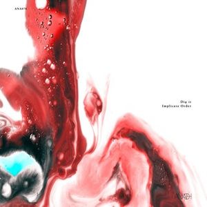 Implicate Order (EP)