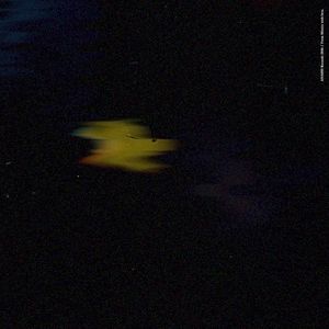 Organic Connections (EP)