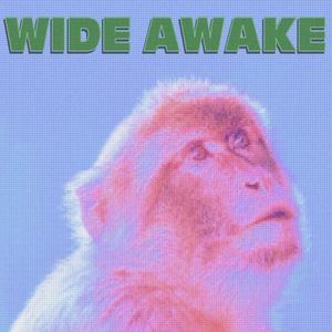 Wide Awake (Single)