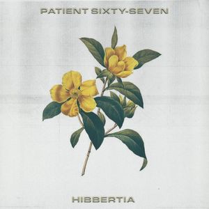 Hibbertia (Single)