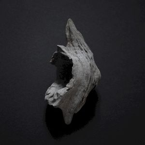 Anoxic (EP)