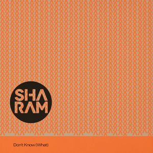 Don't Know (What) (Single)