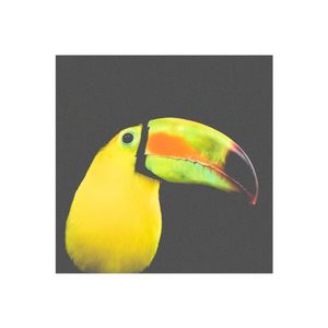 Belize (EP)