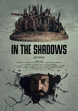In The Shadows