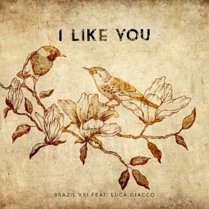 I Like You (Single)