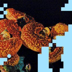Mapa (Single)