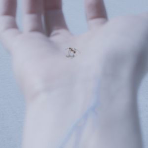 Unquit You (Single)