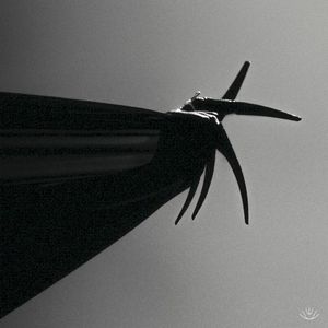 Make Us Whole Again (Single)