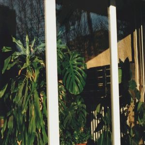 yesterday (Single)
