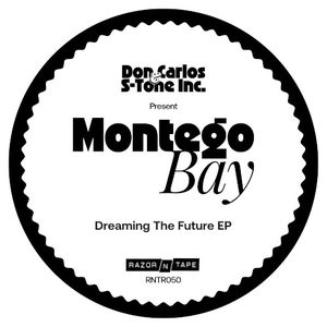 Dreaming the Future EP (EP)