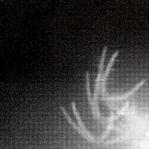3d0ts (Single)