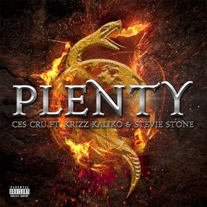 Plenty (Single)