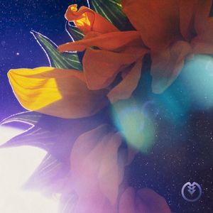 Starlight (Single)